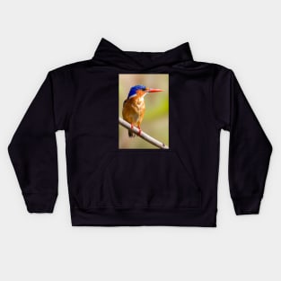 Malachite Kingfisher, Zambia Kids Hoodie